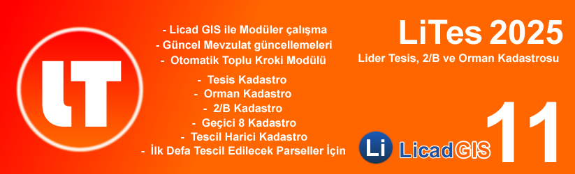LiTes 11 [Lider Tesis, 2/B ve Orman Kadastrosu]